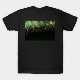 Prickly Pear Thorns T-Shirt